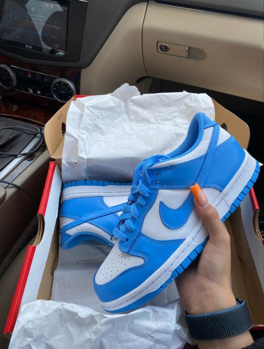 Nike Dunk Lowe Mavi